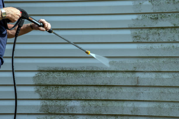 Best Roof Pressure Washing  in Coburg, OR